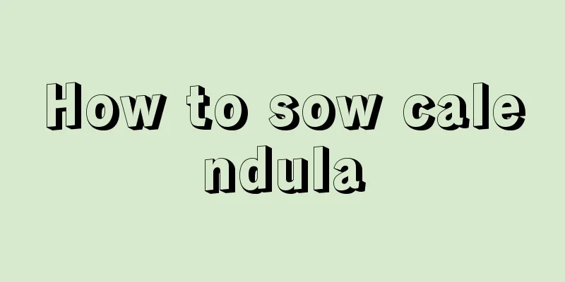 How to sow calendula