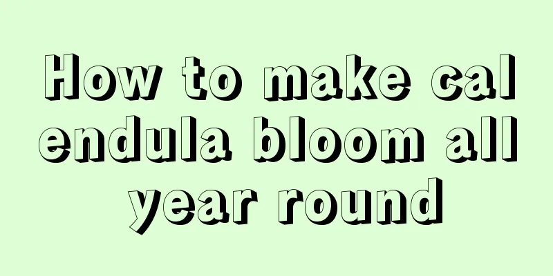 How to make calendula bloom all year round