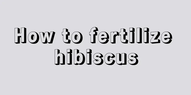 How to fertilize hibiscus