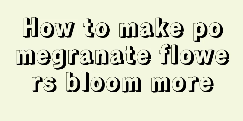 How to make pomegranate flowers bloom more