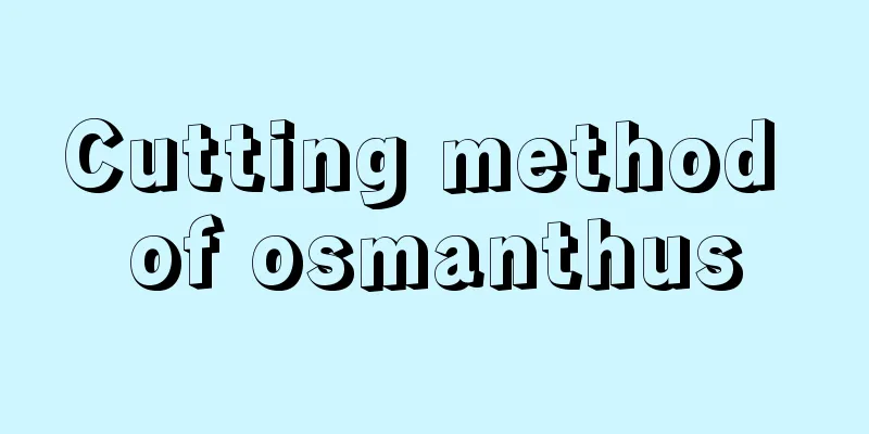 Cutting method of osmanthus