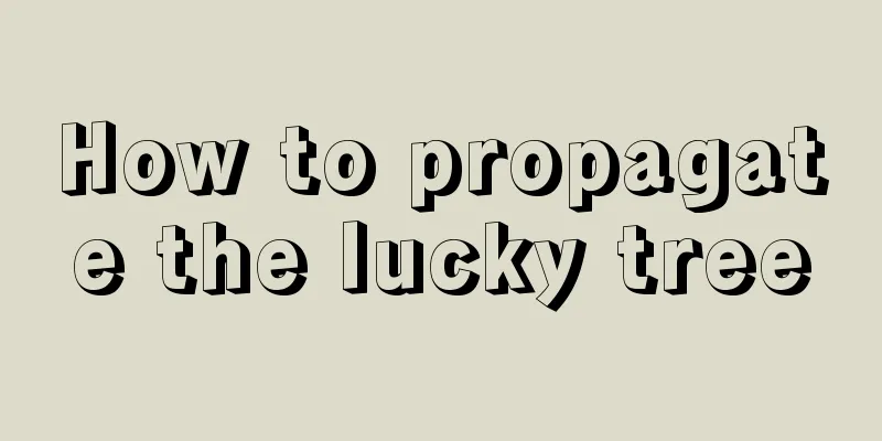 How to propagate the lucky tree