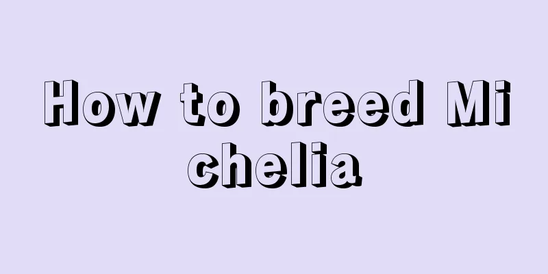 How to breed Michelia