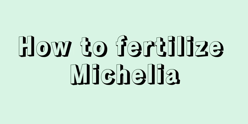 How to fertilize Michelia