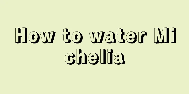 How to water Michelia