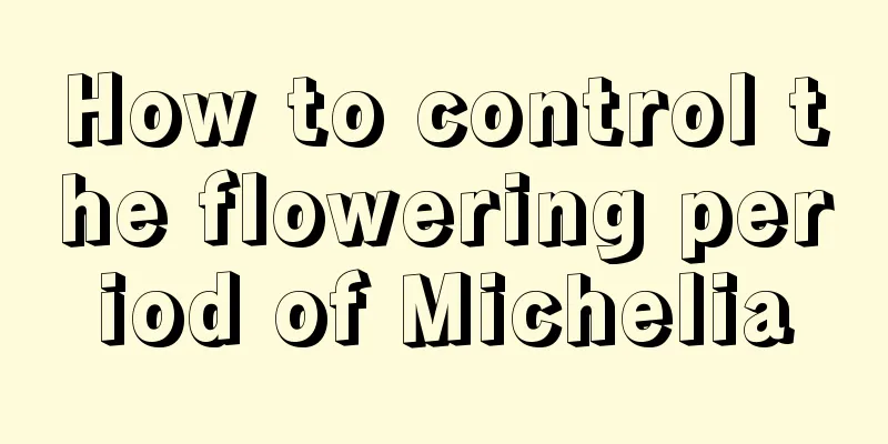 How to control the flowering period of Michelia