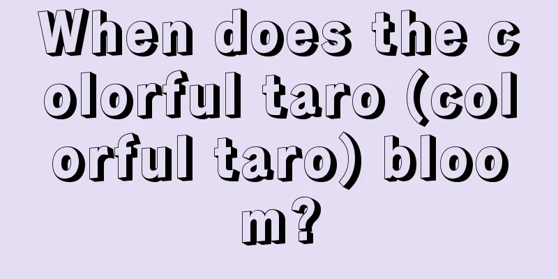 When does the colorful taro (colorful taro) bloom?