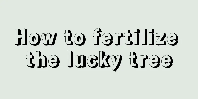 How to fertilize the lucky tree