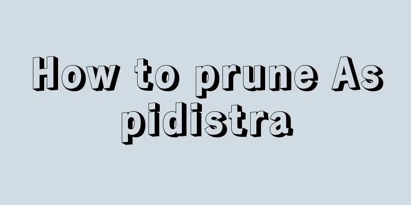 How to prune Aspidistra