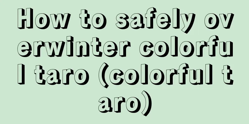 How to safely overwinter colorful taro (colorful taro)