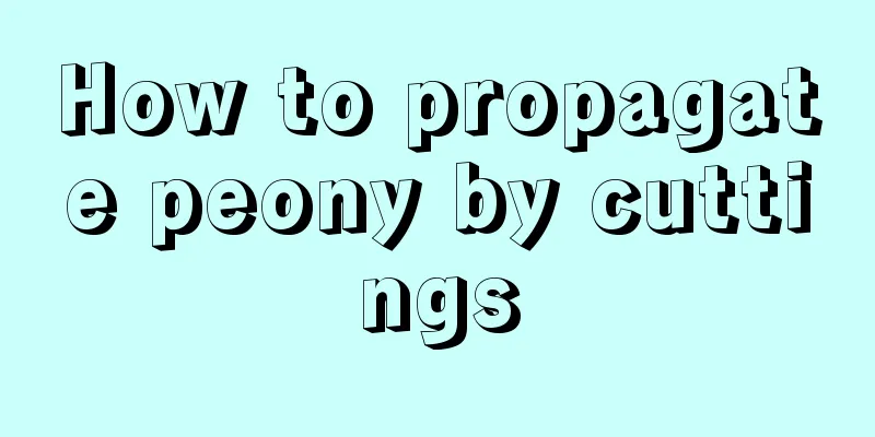 How to propagate peony by cuttings