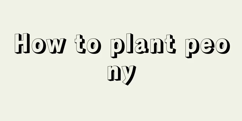 How to plant peony