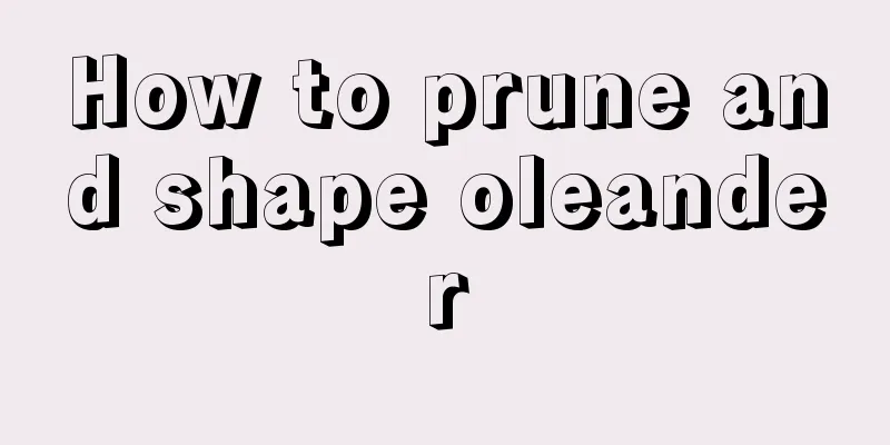 How to prune and shape oleander