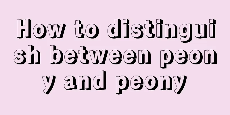 How to distinguish between peony and peony