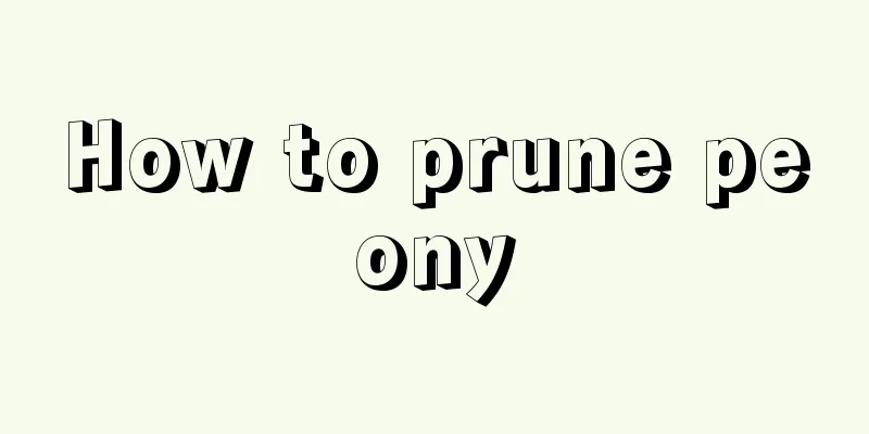 How to prune peony