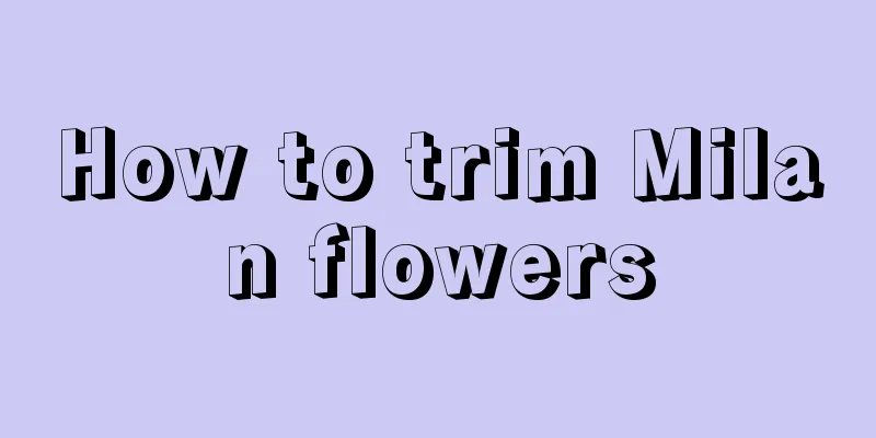 How to trim Milan flowers