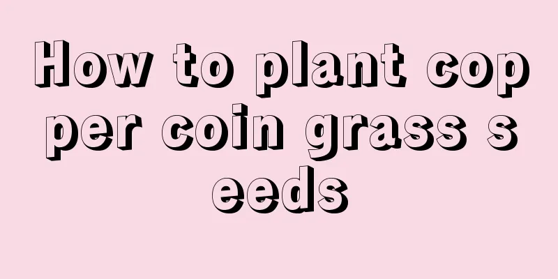 How to plant copper coin grass seeds