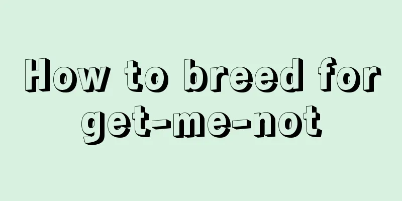 How to breed forget-me-not