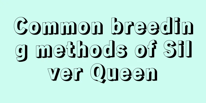 Common breeding methods of Silver Queen