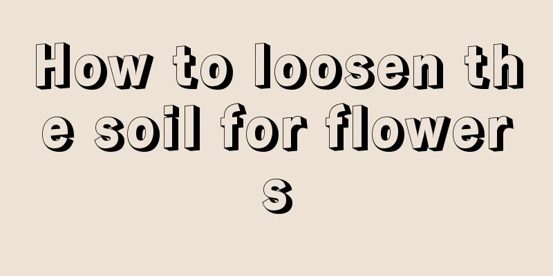 How to loosen the soil for flowers