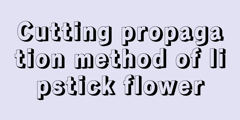 Cutting propagation method of lipstick flower