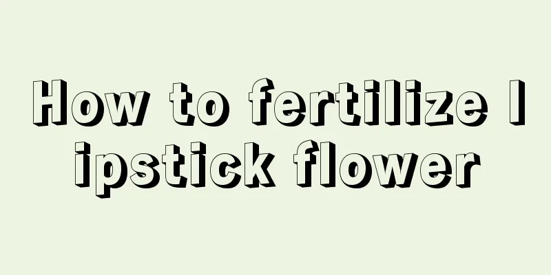 How to fertilize lipstick flower