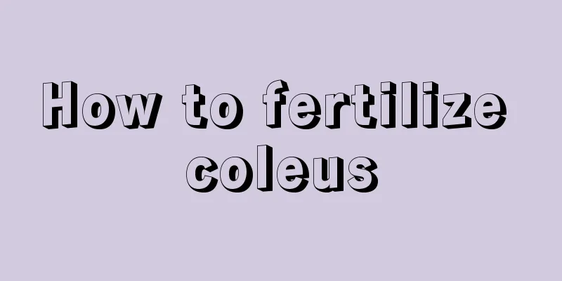 How to fertilize coleus