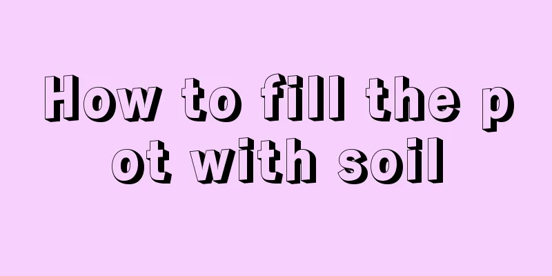 How to fill the pot with soil