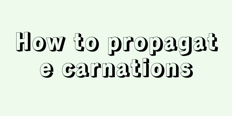 How to propagate carnations