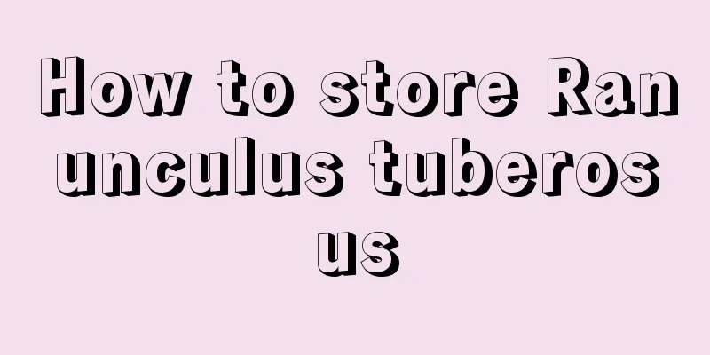 How to store Ranunculus tuberosus