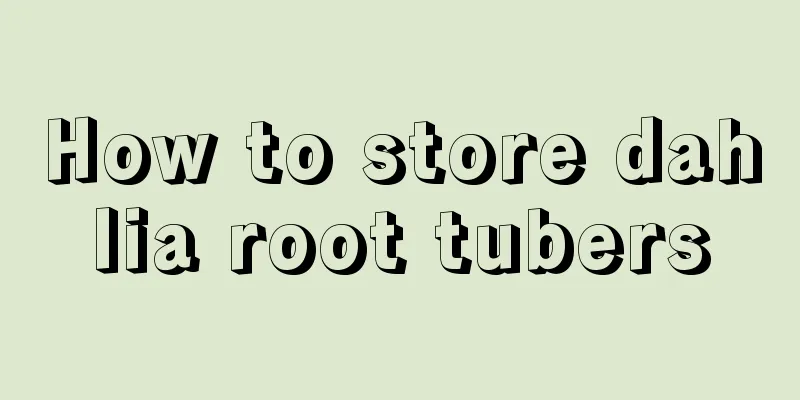 How to store dahlia root tubers