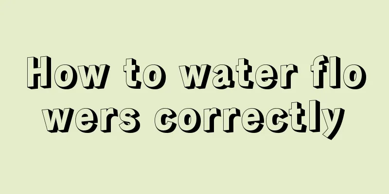 How to water flowers correctly