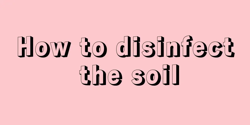 How to disinfect the soil