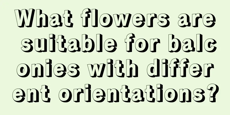 What flowers are suitable for balconies with different orientations?