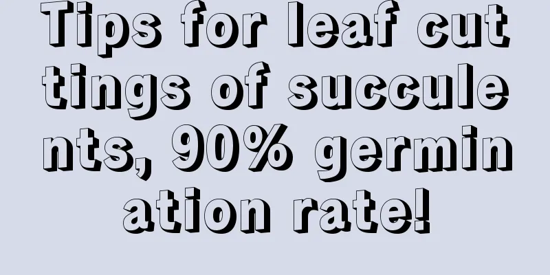 Tips for leaf cuttings of succulents, 90% germination rate!