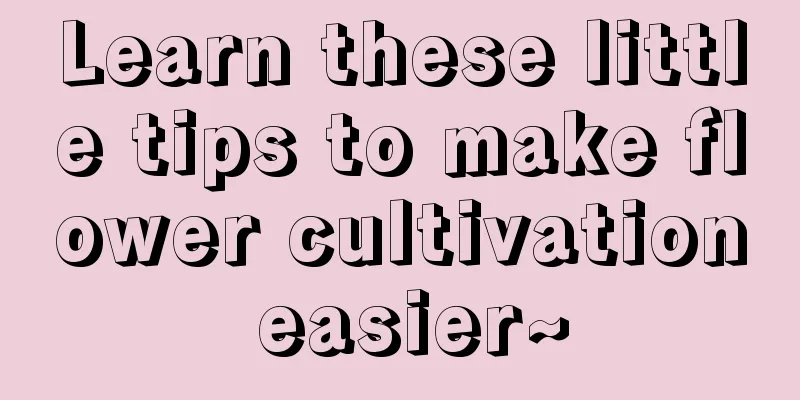 Learn these little tips to make flower cultivation easier~