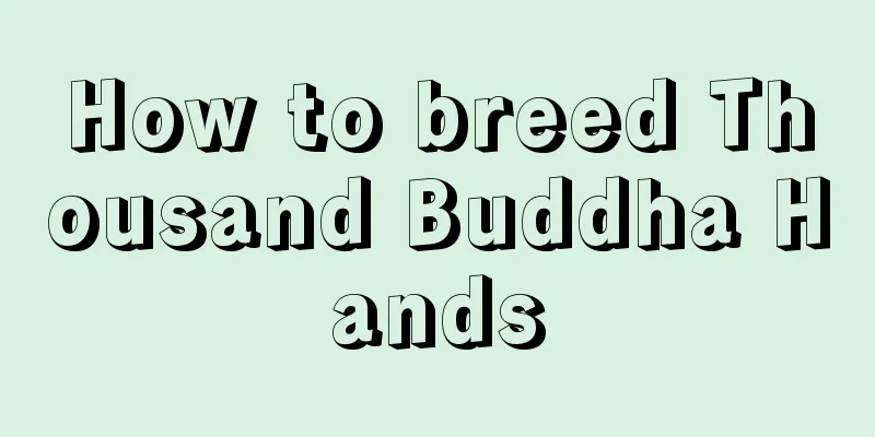 How to breed Thousand Buddha Hands