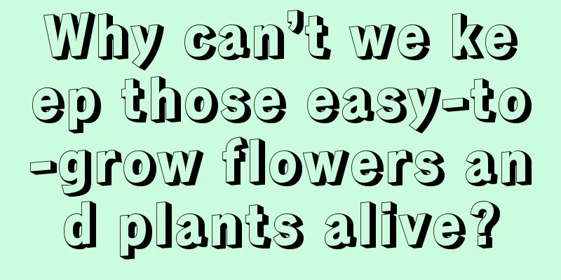 Why can’t we keep those easy-to-grow flowers and plants alive?