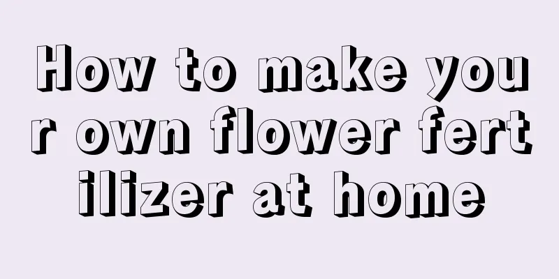 How to make your own flower fertilizer at home