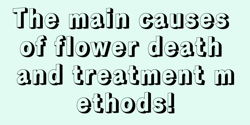 The main causes of flower death and treatment methods!