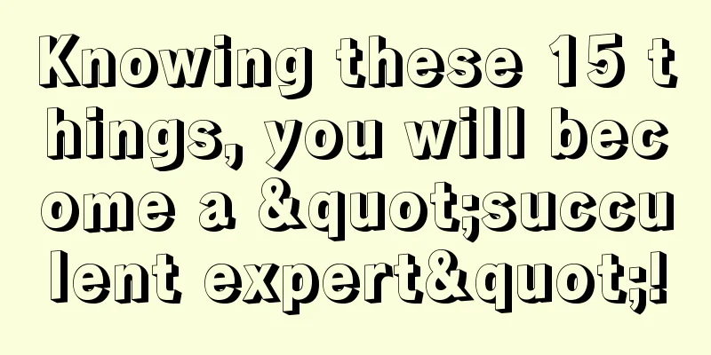 Knowing these 15 things, you will become a "succulent expert"!