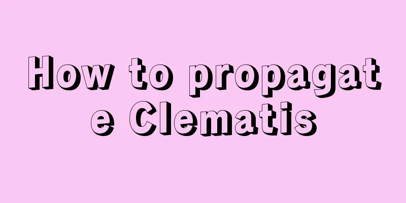 How to propagate Clematis