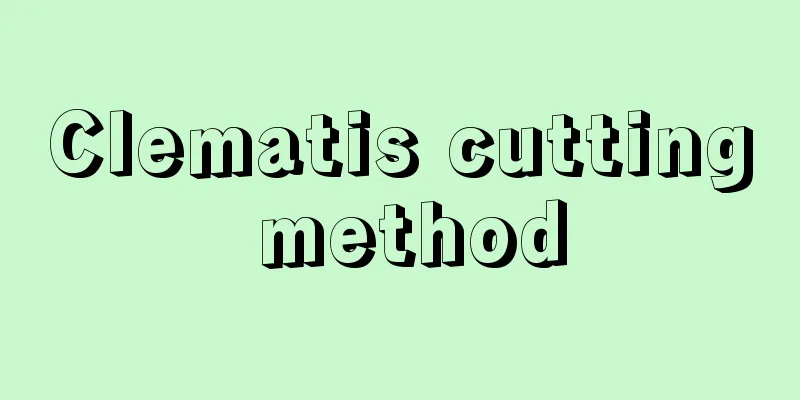 Clematis cutting method