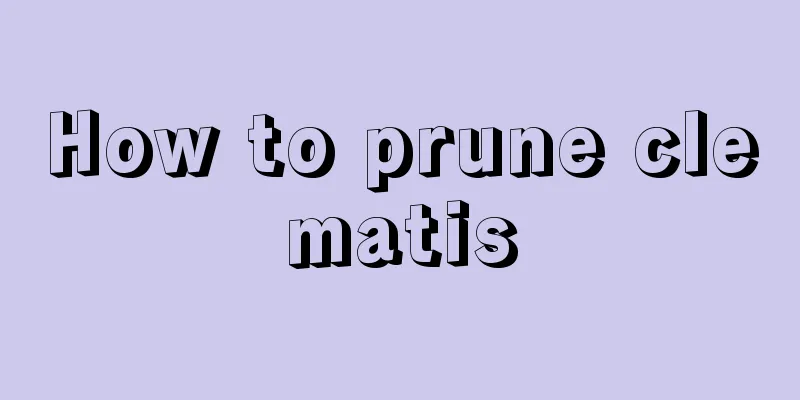 How to prune clematis