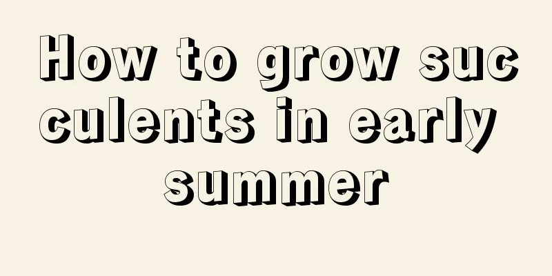 How to grow succulents in early summer