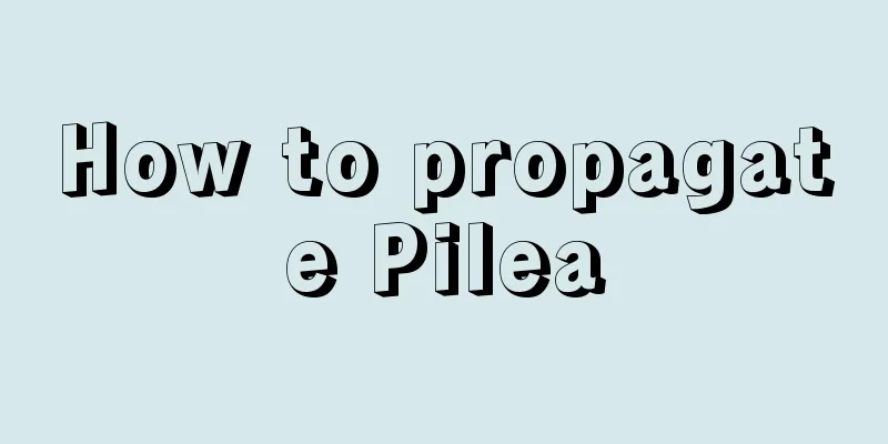 How to propagate Pilea