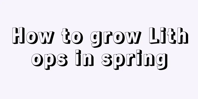 How to grow Lithops in spring