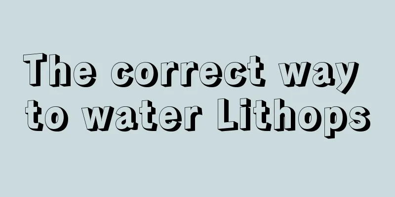 The correct way to water Lithops