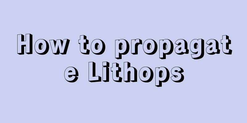 How to propagate Lithops