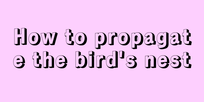 How to propagate the bird's nest